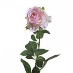 фото Роза нежно-розовая 80 см (12) - 00002399