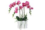 фото Декоративные цветы Орхидея тем розовая в керамической вазе Dream Garden ( DG-15018-N-AL )