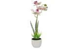 фото Декоративные цветы Орхидея бело-сиреневая в керам.вазе - DG-PF7107-LP Dream Garden