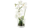 фото Декоративные цветы Орхидея белая в стеклянной вазе Dream Garden ( DG-15015-AL )