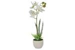 фото Декоративные цветы Орхидея белая в керам.вазе - DG-PF7107-W Dream Garden