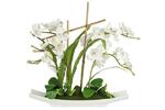 фото Декоративные цветы Орхидея белая на керамической подставке Dream Garden ( DG-15005-AL )