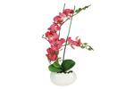 фото Декоративные цветы Орхидея бордо в керамической вазе Dream Garden ( DG-13066-FU-AL )