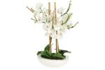 фото Декоративные цветы Орхидея белая на керамической подставке Dream Garden ( DG-13062-AL )