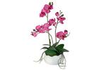 фото Декор.цветы Орхидея бордо в керамической вазе Dream Garden ( DG-16014N-FU-AL )