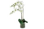 фото Декоративные цветы Орхидея белая в стеклянной вазе Dream Garden ( DG-16023N-AL )