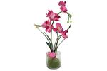 фото Декоративные цветы Орхидея бордо в стеклянной вазе Dream Garden ( DG-16001-AL )
