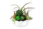 фото Декоративные цветы Суккуленты в керамической вазе Dream Garden ( DG-S16006N-AL )