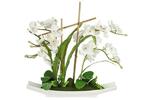 фото Декоративные цветы Орхидея белая на керамической подставке - DG-15005-AL Dream Garden