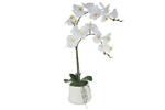 фото Декоративные цветы Орхидея белая в керамической вазе Dream Garden ( DG-15044N-AL )
