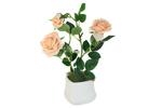 фото Декоративные цветы Розы кремовые в керамической вазе Dream Garden ( DG-R16028N-O-AL )
