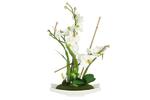 фото Декоративные цветы Орхидея белая на керамической подставке - DG-15025-AL Dream Garden