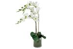 фото Декоративные цветы Орхидея белая в стеклянной вазе - DG-16023N-AL Dream Garden