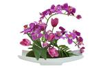 фото Декоративные цветы Орхидея сиреневая c тюльпанами на керам подставке - DG-JA6102 Dream Garden