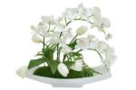 фото Декоративные цветы Орхидея белая c тюльпанами на керам подставке - DG-JA6100 Dream Garden