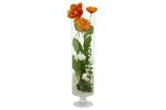 фото Декоративные цветы Маки в стекл вазе - DG-JA6044 Dream Garden
