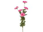 фото Ветка астр розовая 5 цветков высота=70 см. Huajing Plastic (864-001)