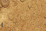 фото Песок карьерный (сеяный)