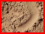 фото Песок мытый 0,2 с доставкой