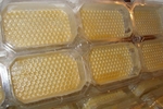 фото Полурамки контейнеры для сотового меда