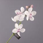 фото Цветок искусственный "белая орхидея" длина=38 см. Silk-Ka B.v. (654-126)