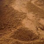 фото Пескогрунт (песок с включениями глины и грунта)