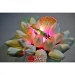 фото Птичка Колибри 5 цветов с подсветкой 