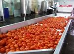 фото Линия консервирования огурцов и томатов