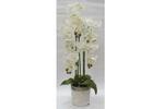 фото Декор.цветы Орхидеи белые в керам.вазе - DG-F6835W Dream Garden