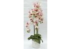 фото Декор.цветы Орхидеи св.розовые в керам.вазе - DG-F6835LP Dream Garden