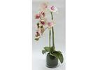 фото Декор.цветы Орхидея св.розовая в стекл.вазе - DG-F6836LP Dream Garden