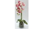 фото Декор.цветы Орхидея тём.розовая в стекл.вазе - DG-F6836DP Dream Garden