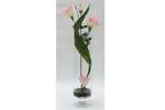 фото Декор.цветы Лизиантус розовый в стекл.вазе - DG-F6878 Dream Garden