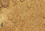 фото Песок строительный сеяный (машина 10 м3)