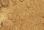фото Песок строительный сеяный