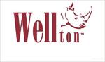 Wellton-Decor стеклообои Бамбук 1х12,5м (800г/м2) Букет