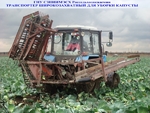 фото Широкозахватный транспортер для уборки капусты