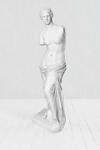 фото Скульптура Венера Милосская в белом цвете