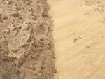фото Песок карьерный навалом с доставкой