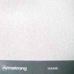 фото Подвесной потолок Оазис (Armstrong)