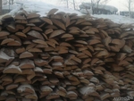 фото Покупаем горбыль деловой (4-6 м.) хвойных пород (сосна