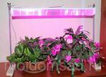 фото Светодиодная led фито лампа Fito WST 03 001 фитосветильник для досветки цветов