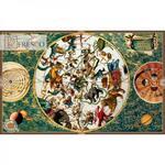 фото Фреска Renaissance Fresco Maps (12051)