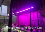 фото Фитосветильник led светодиодный Fito ULI-P10-10W/SPFR фитолампа досветки растений