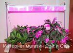 фото Светодиодный led фитосветильник Fito WST 03-001 фитолампа для досветки цветов