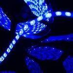 фото Герметичная светодиодная лента синего свечения 3528 300 LED