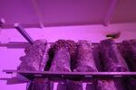 фото Фитосветильник для выращивания грибов светодиодный "Фито-М 30 Ш"