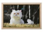 фото Картина "персидская кошка" 40*25см. (562-178-57)