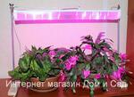 фото Светодиодный led фитосветильник Fito ULI-P10-10W/SPFR Uniel для подсветки растений