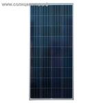 фото Поликристаллическая солнечная батарея SilaSolar 150Вт